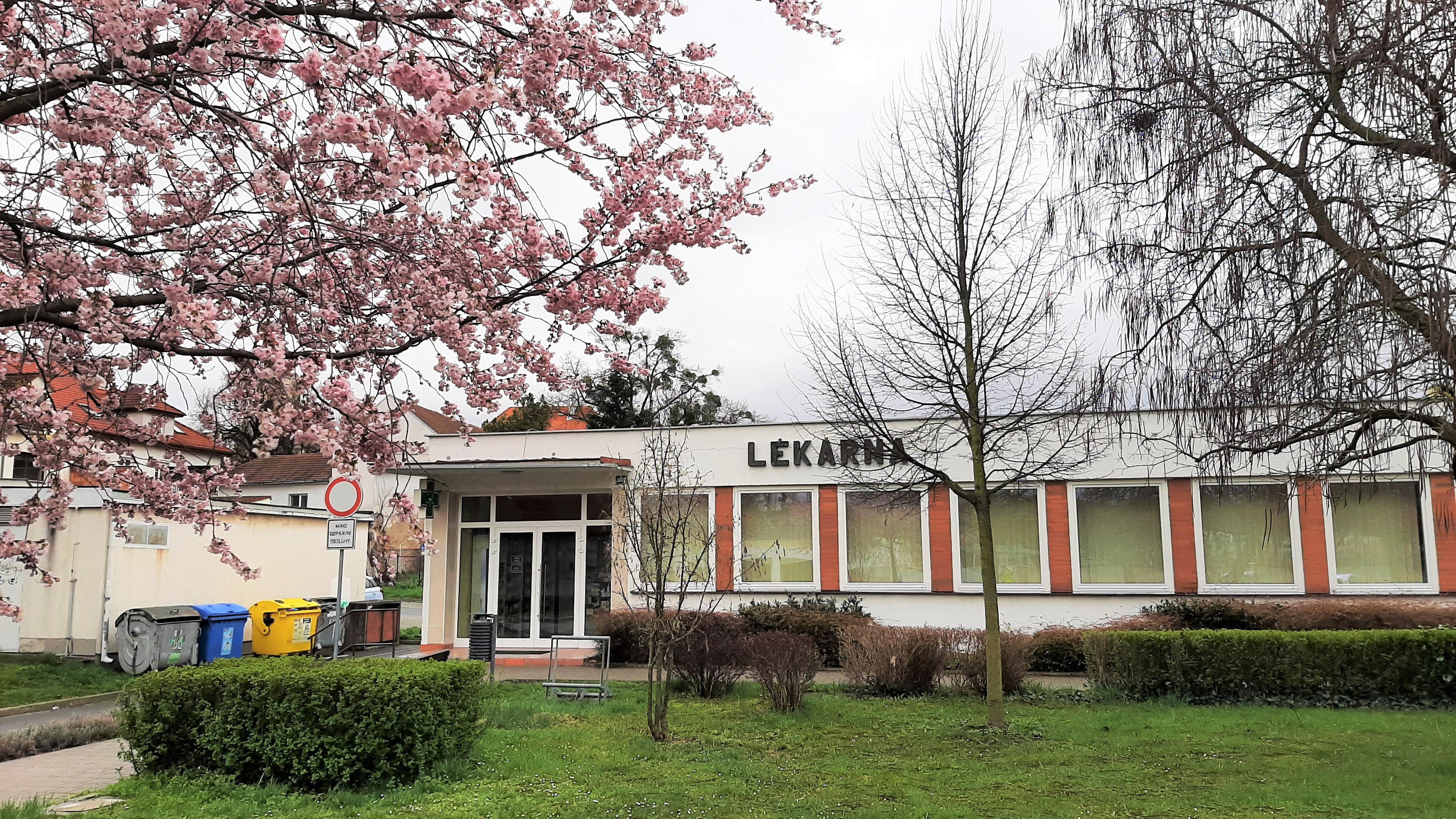 Lékárna Mafarmia s.r.o Napajedla foto 3