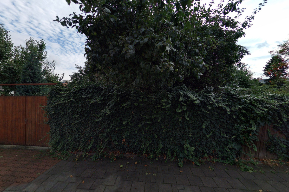 Znalec v oboru ekonomiky - Ing. Leo Dadák foto 2