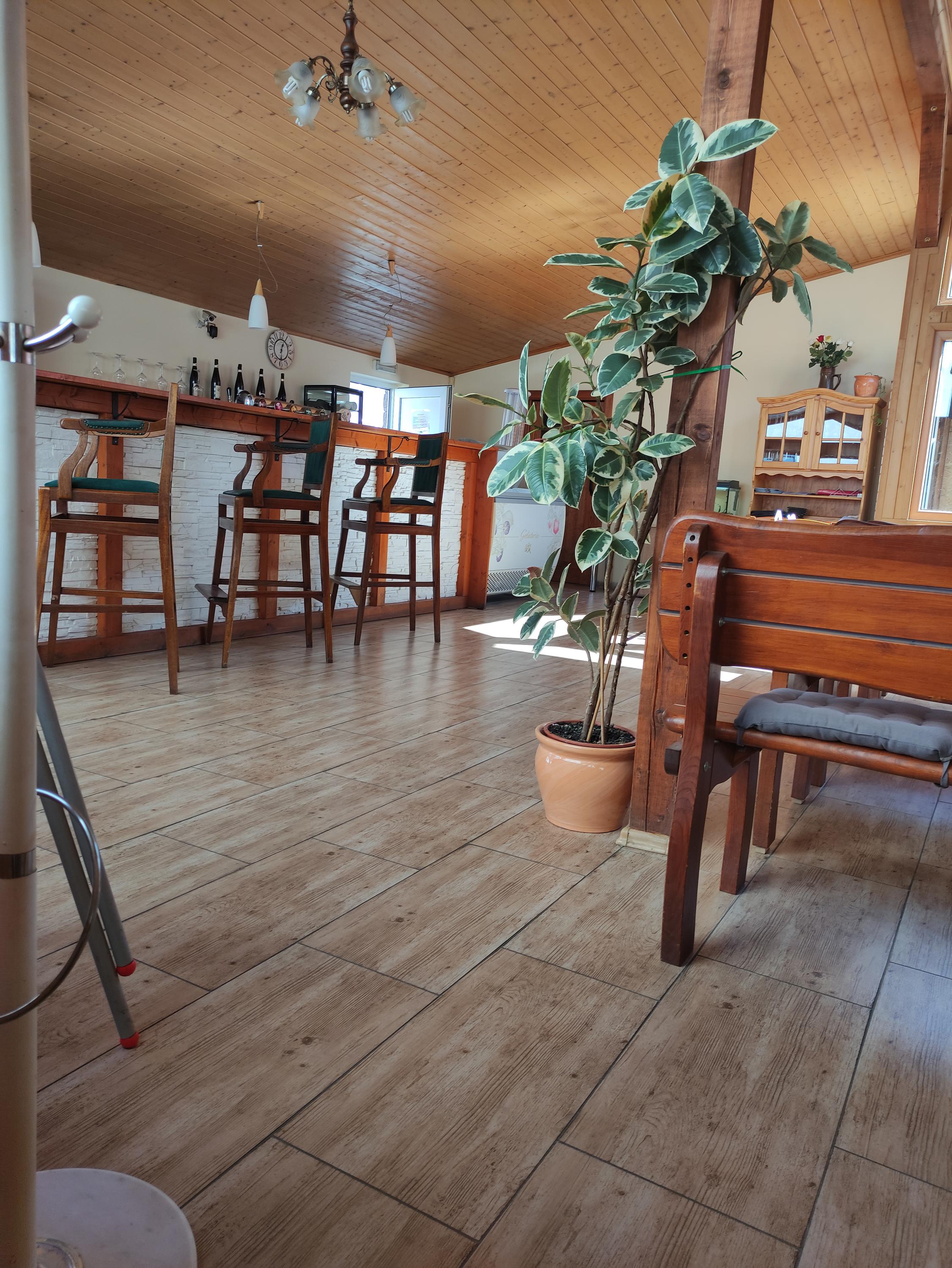 Na Sokolovně, restaurace a pizzerie foto 2