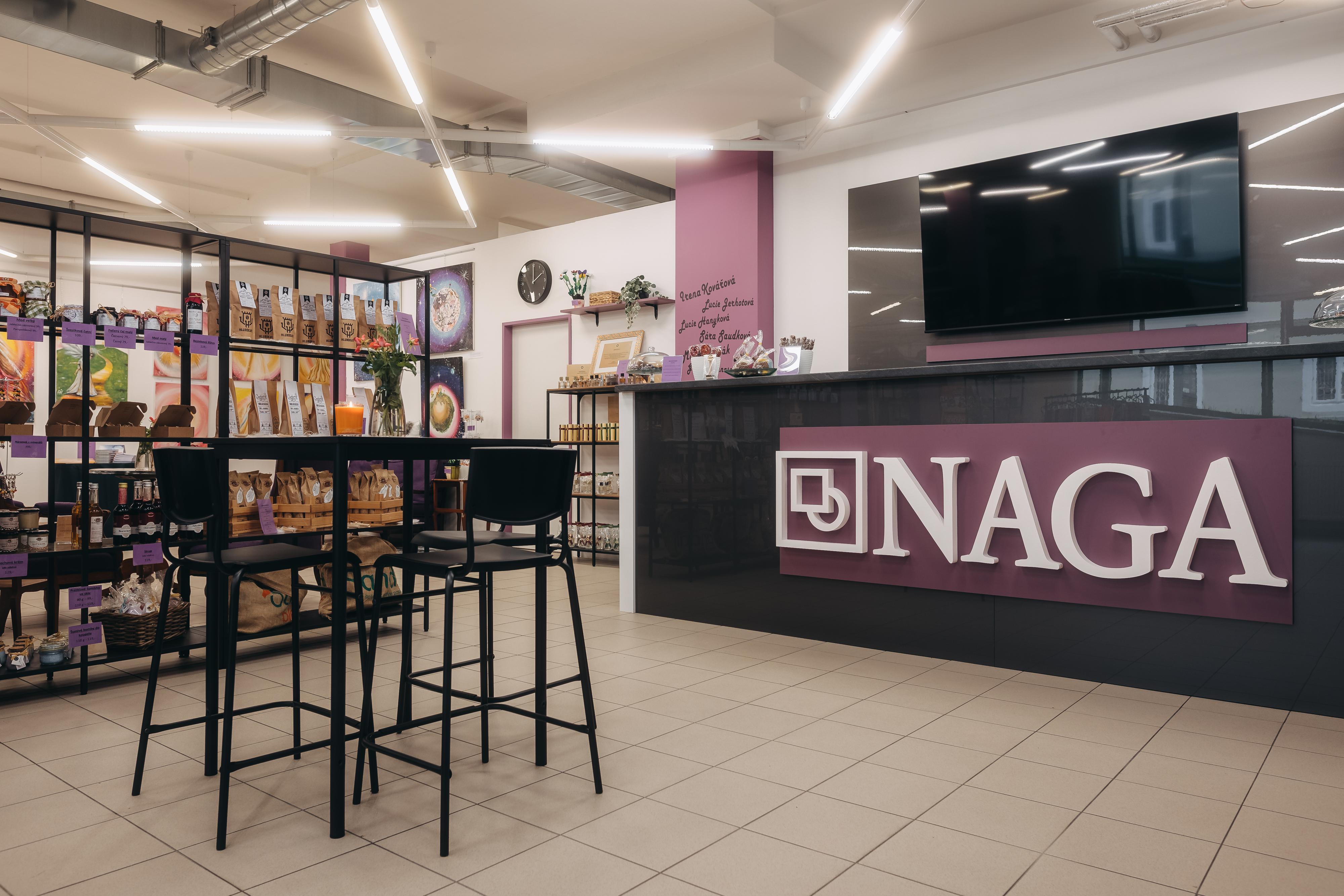 NAGA - nadační galerie