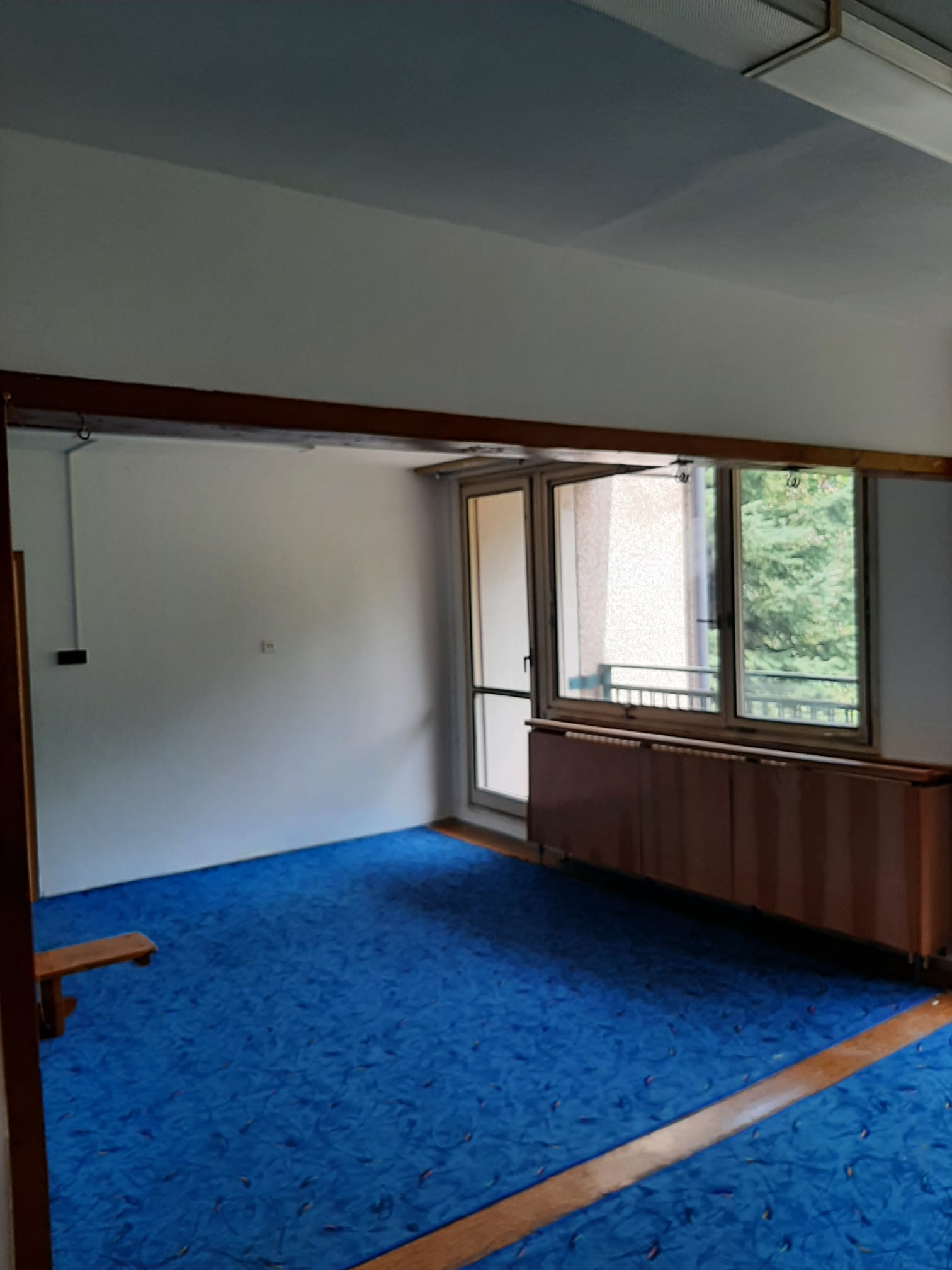 malířství-miko foto 3