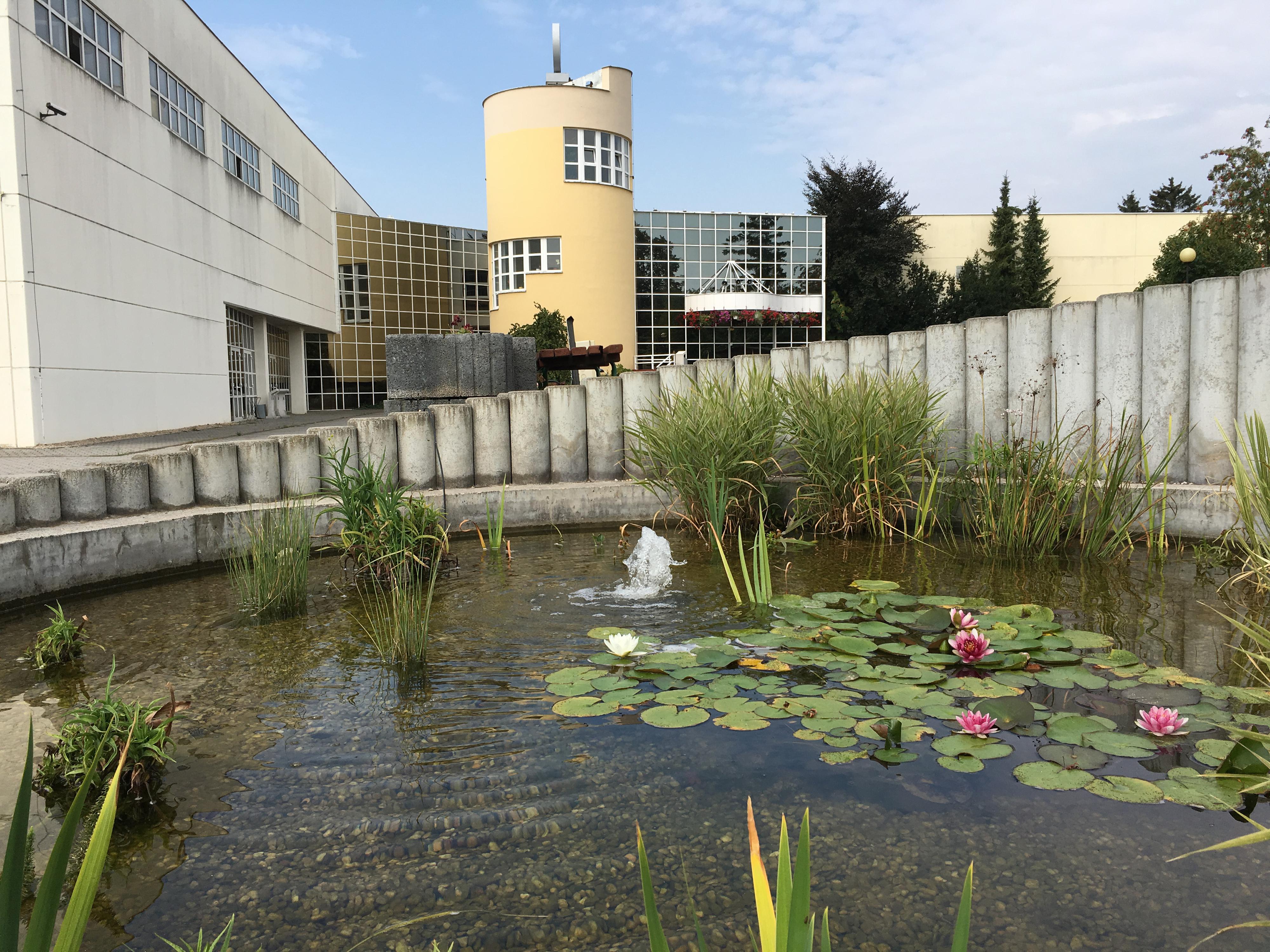 Výstaviště Lysá nad Labem spol. s.r.o. foto 6