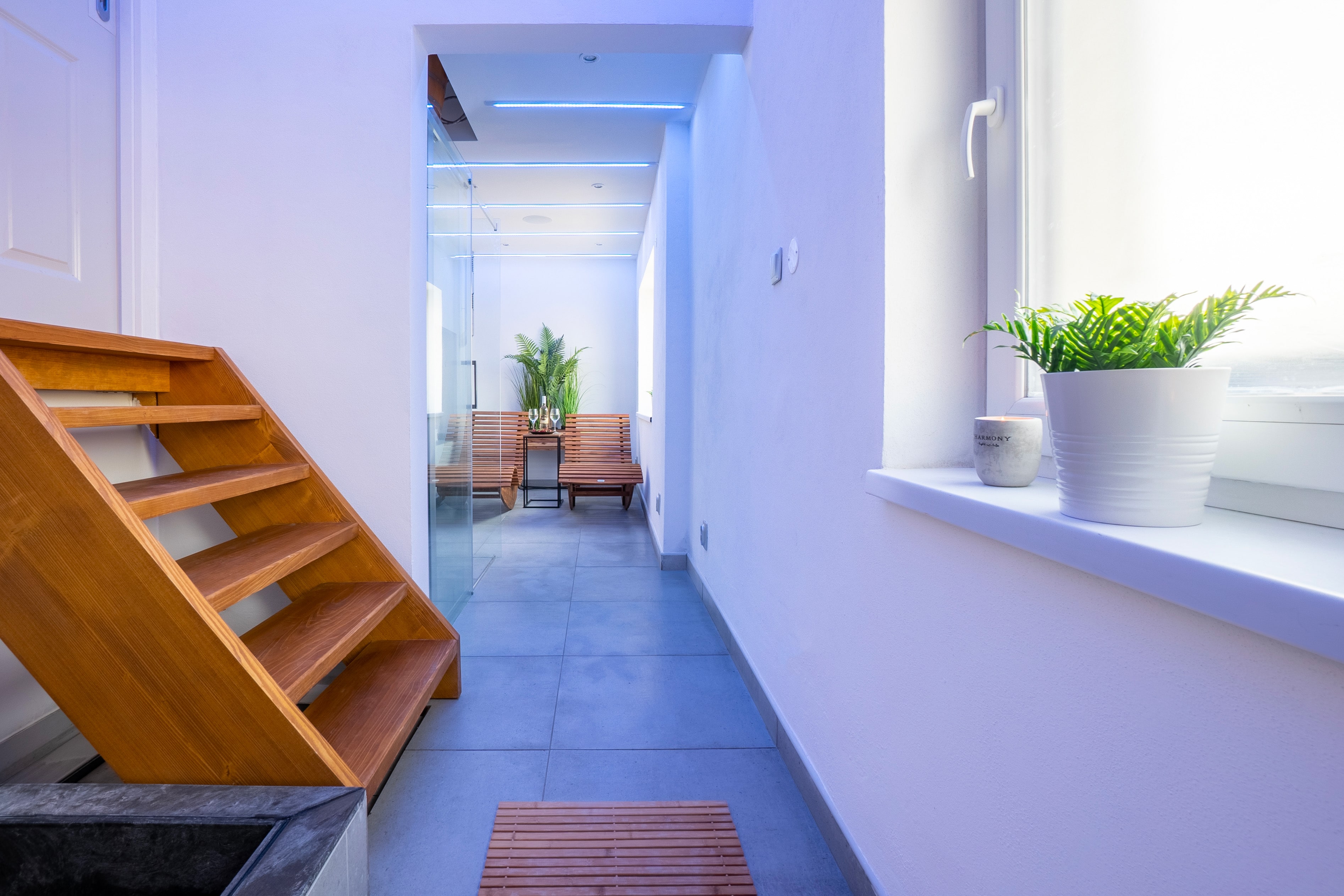 Privátní Wellness Velké Losiny foto 2