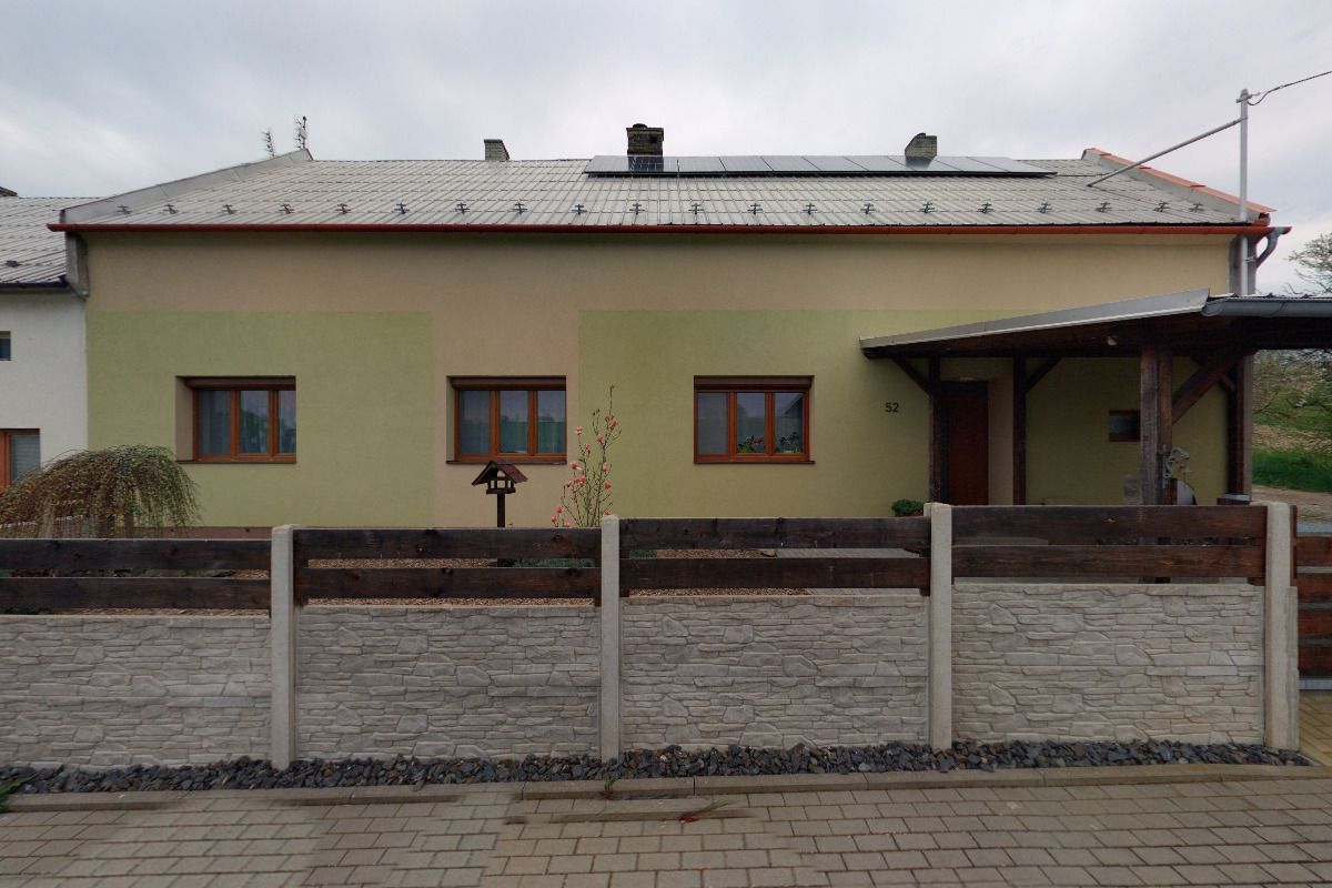 Human dog coach foto 2