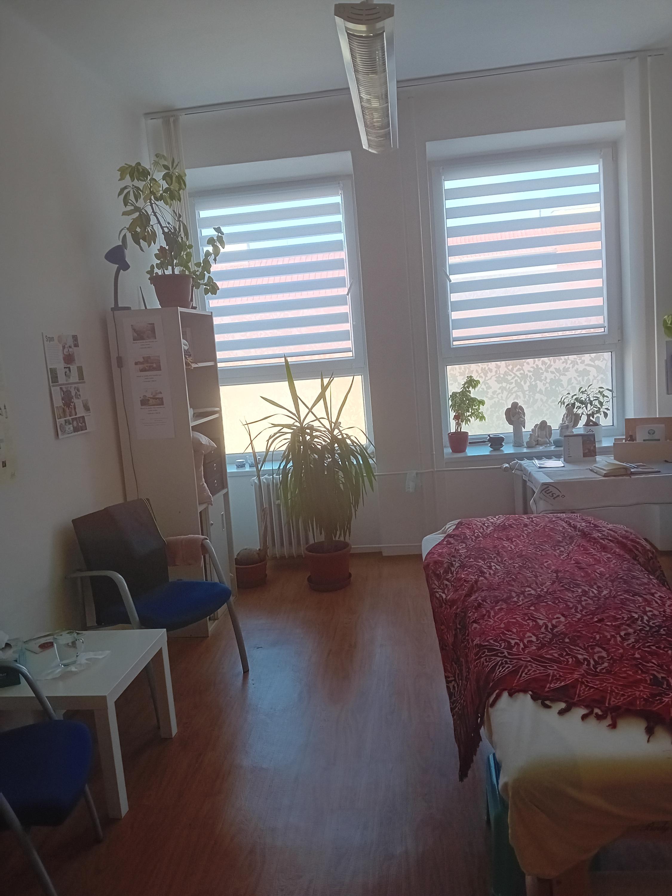 Alča Třezalka masáže foto 5