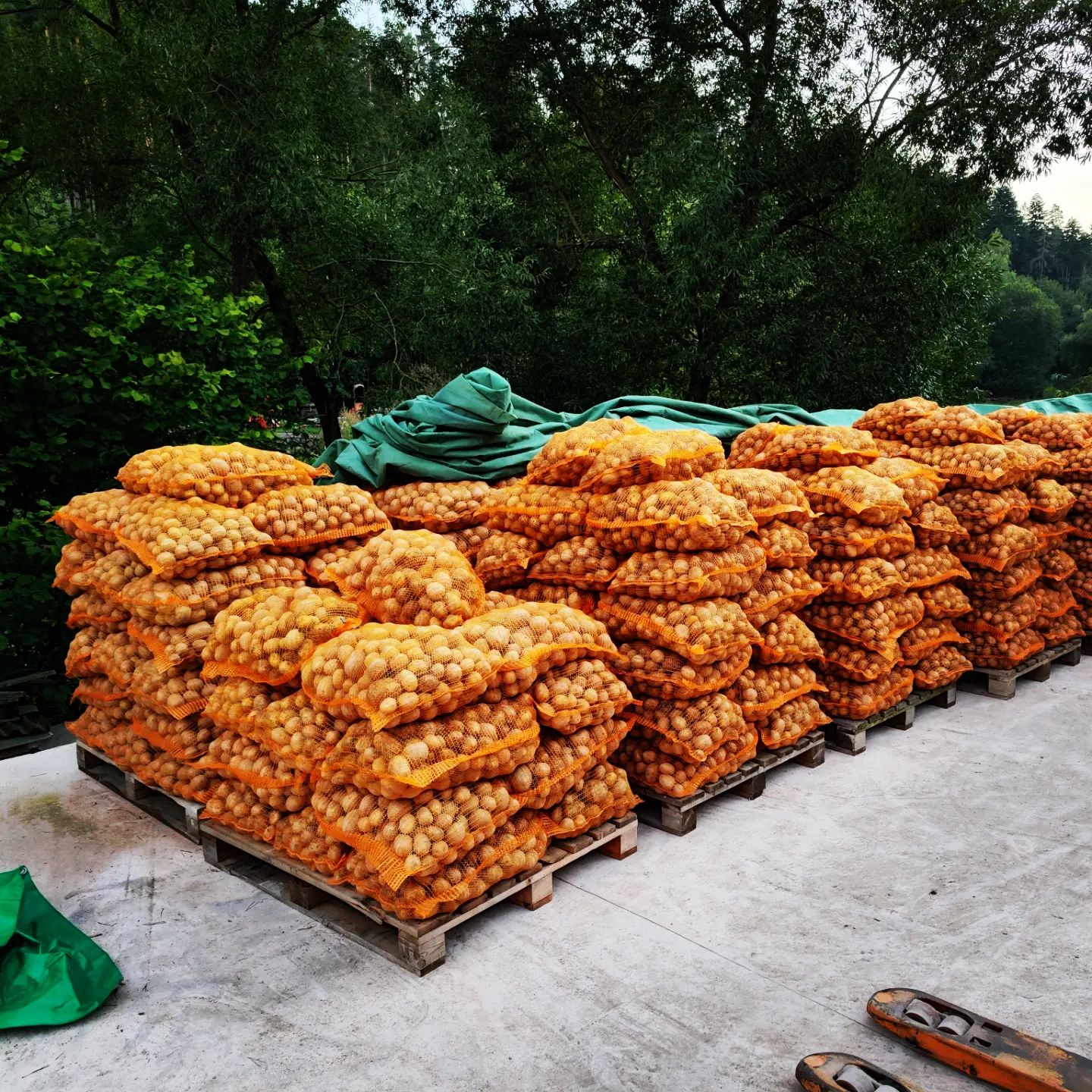 Farma Kala foto 6