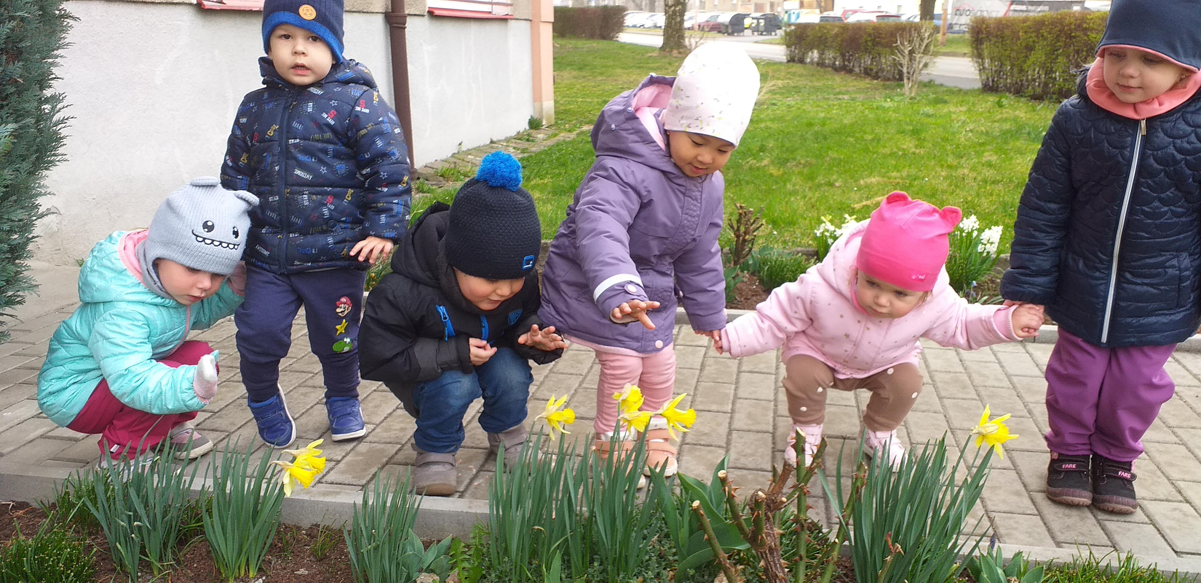 Dráček Česká Lípa z.s. foto 3