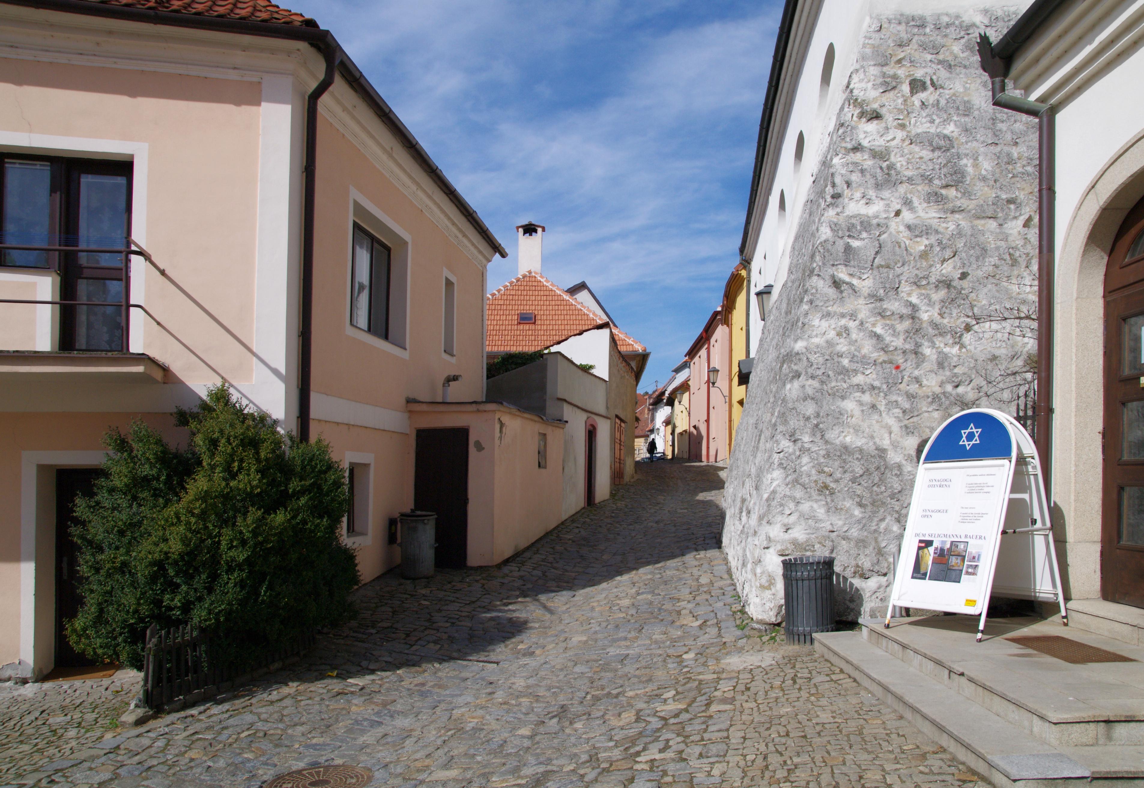 Informační a turistické centrum Zadní synagoga foto 6