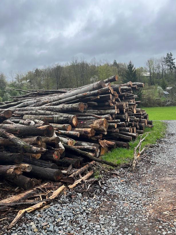 Prodej štípaného palivového dřeva - JK FOREST s.r.o foto 4