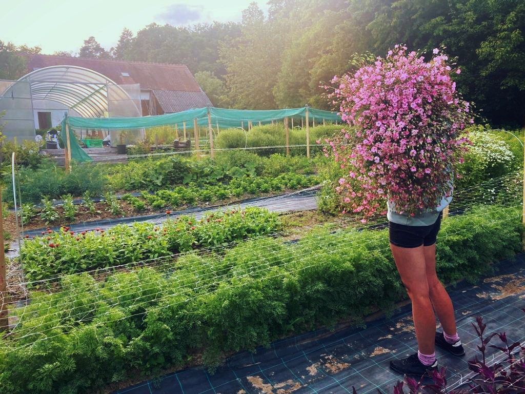 Farma Slunce kvítí