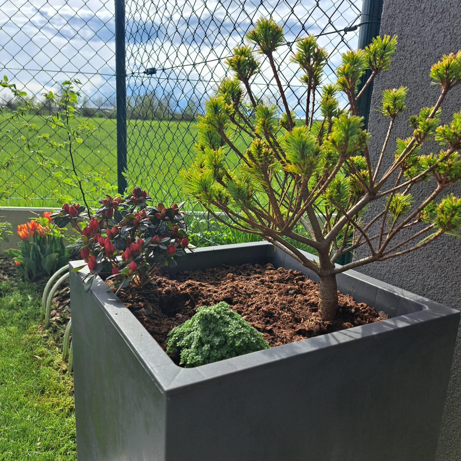 Apartmán Vážka foto 5