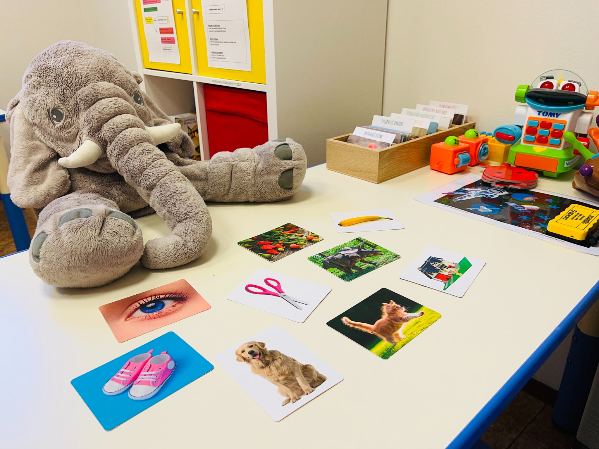 ABA strategie s.r.o. - behaviorálně intervenční centrum foto 3