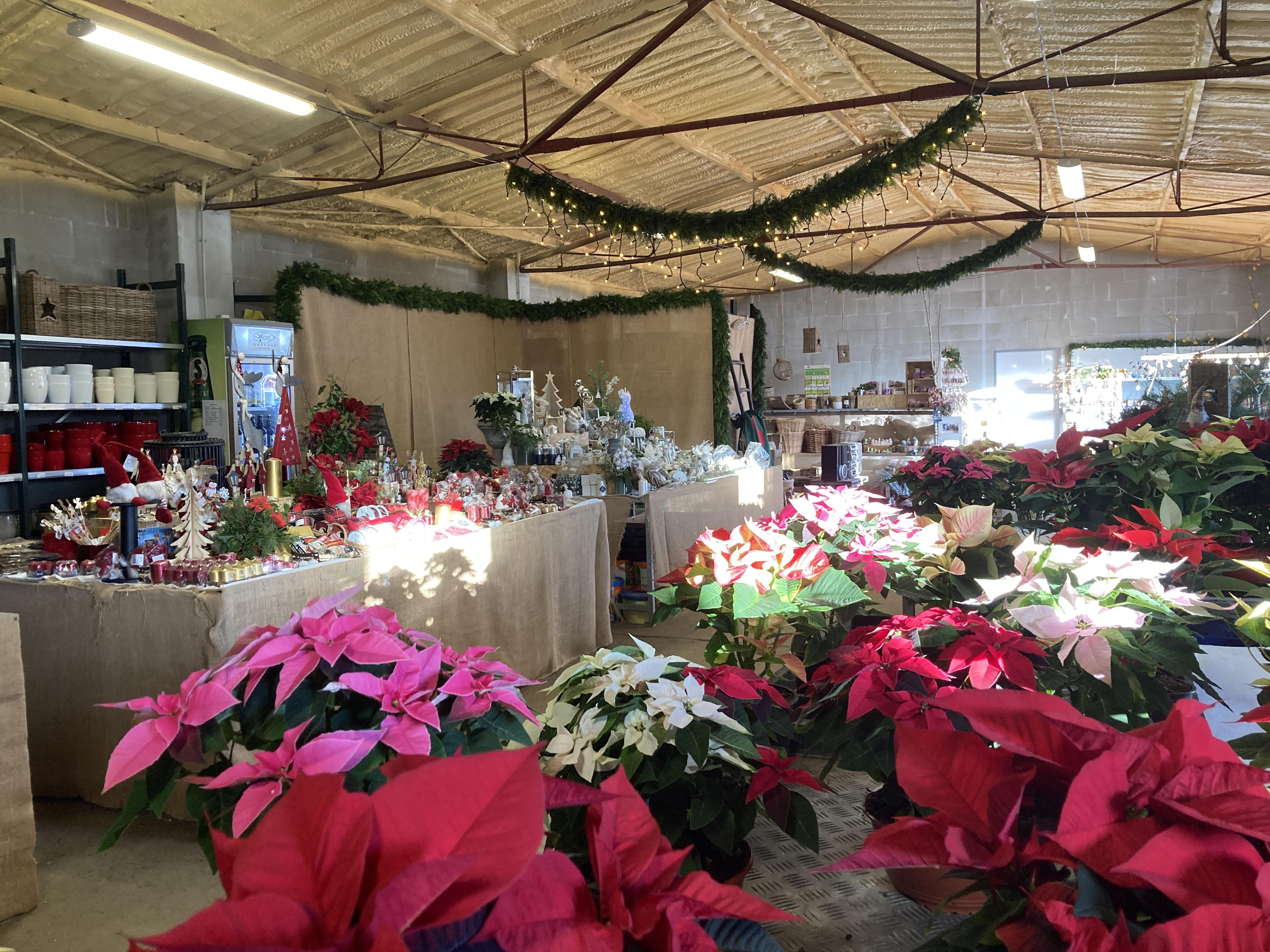 Gardeo - zahradnická společnost Černošice foto 3