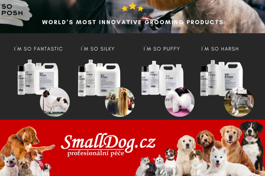 SmallDog.cz foto 3