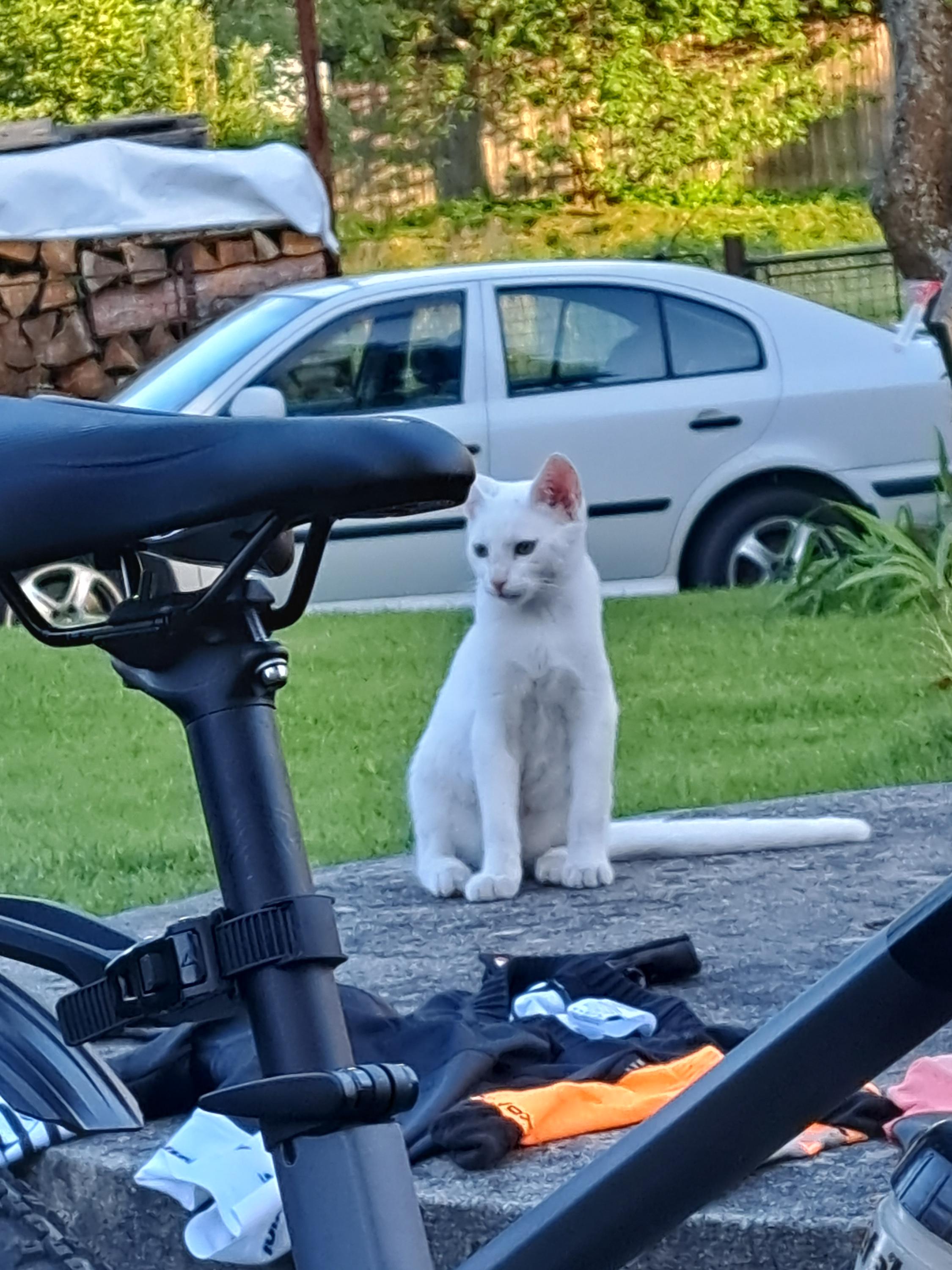 Hostinec Zvláštní škola foto 4