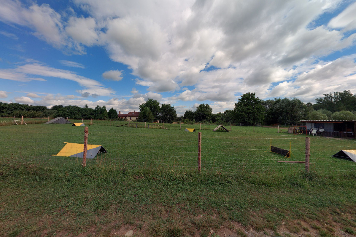 Český kynologický svaz ZKO Boršov nad Vltavou - 762 foto 2