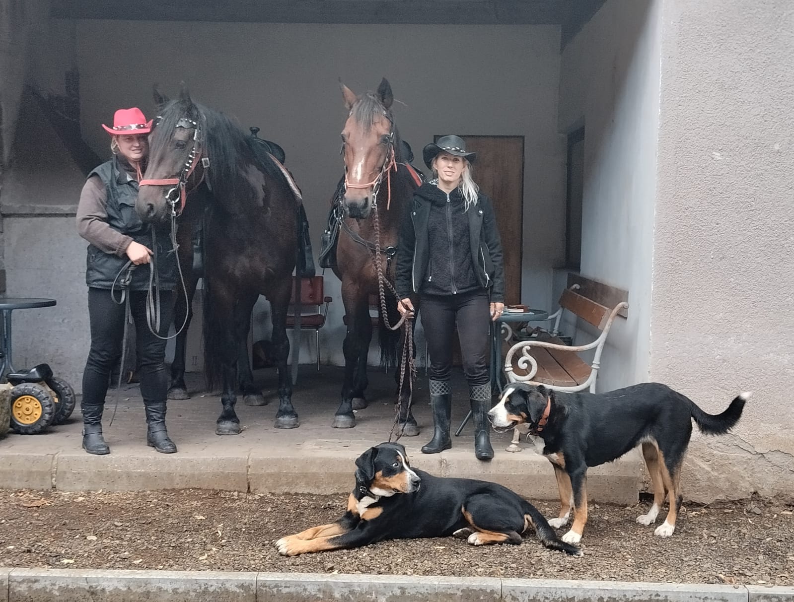 TUROVŠTÍ PSI - chovatelská stanice foto 2