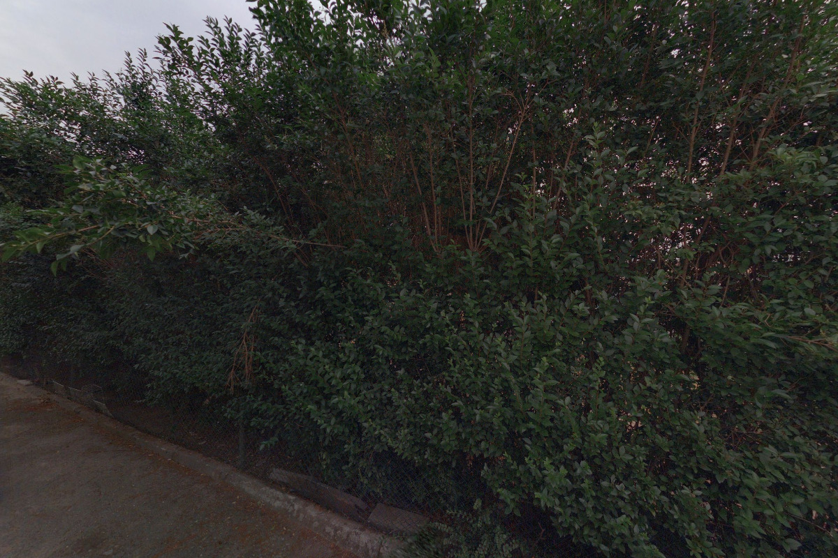 Manipulační technika Jiří Patřičný