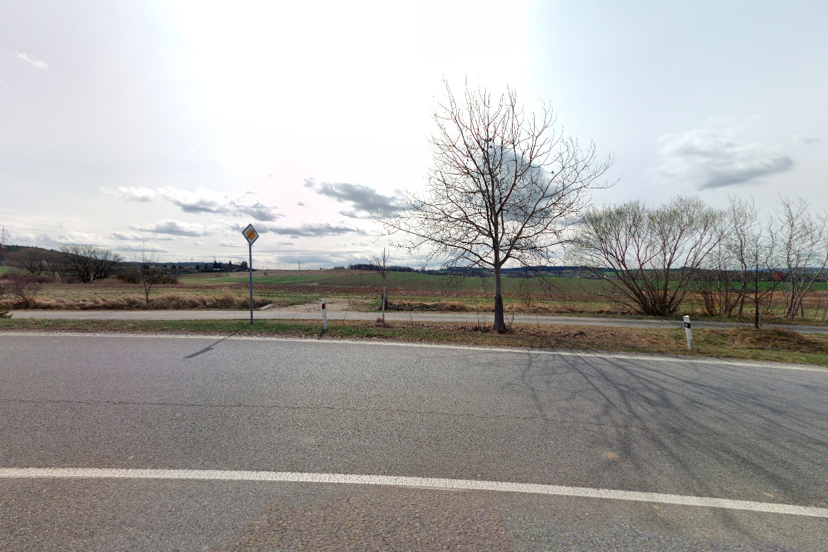 Jahody Písek - Buzický