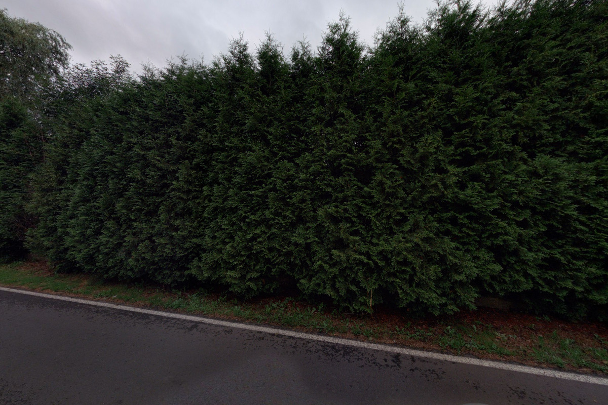 Vlčí ranč Janská