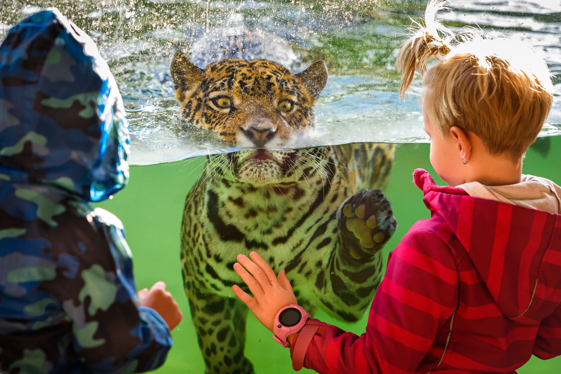 Zoo a zámek Zlín - Lešná foto 4
