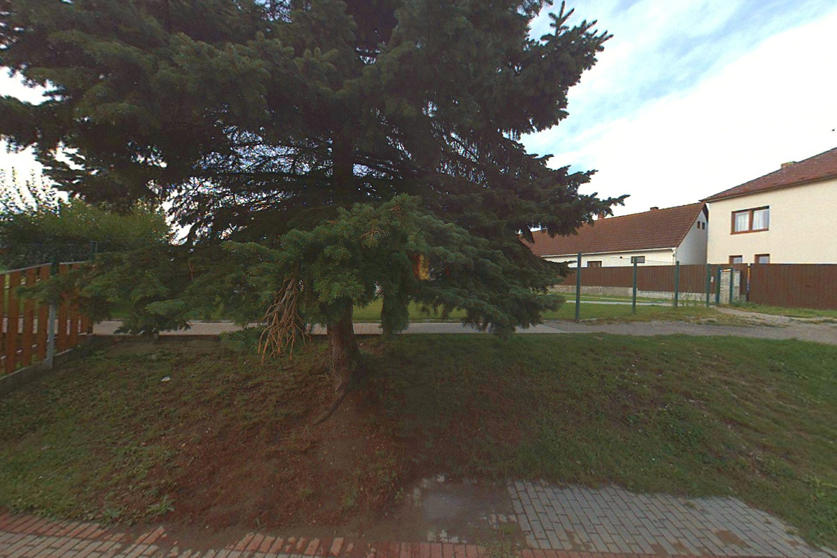 Základní škola a Mateřská škola Dříteň