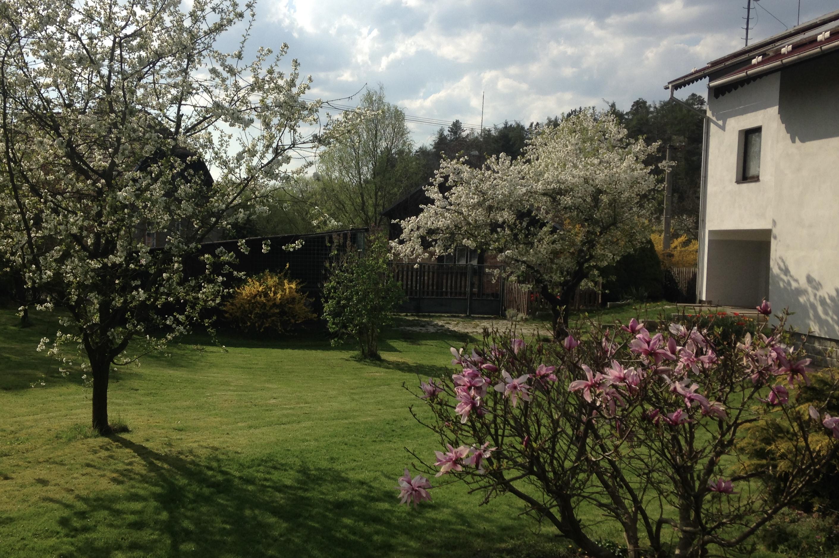 Mgr. Helena Robbová - Výuka jazyků