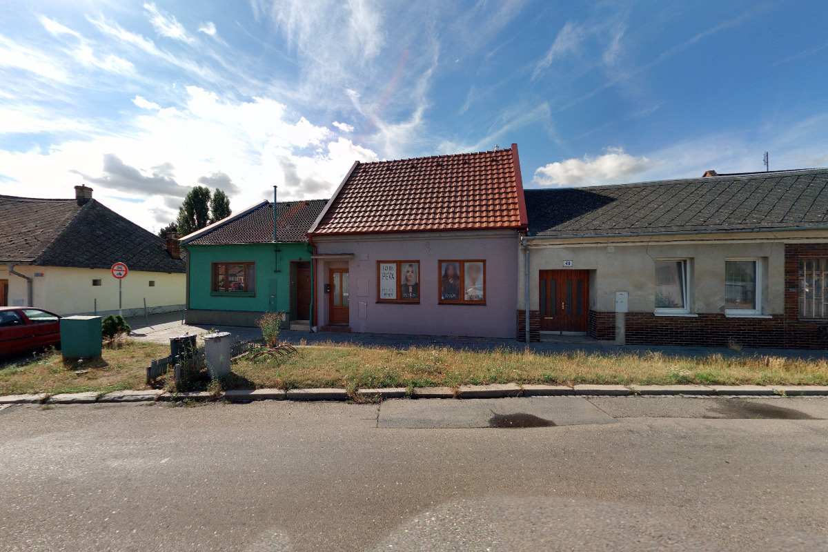 Vladimíra Patáková