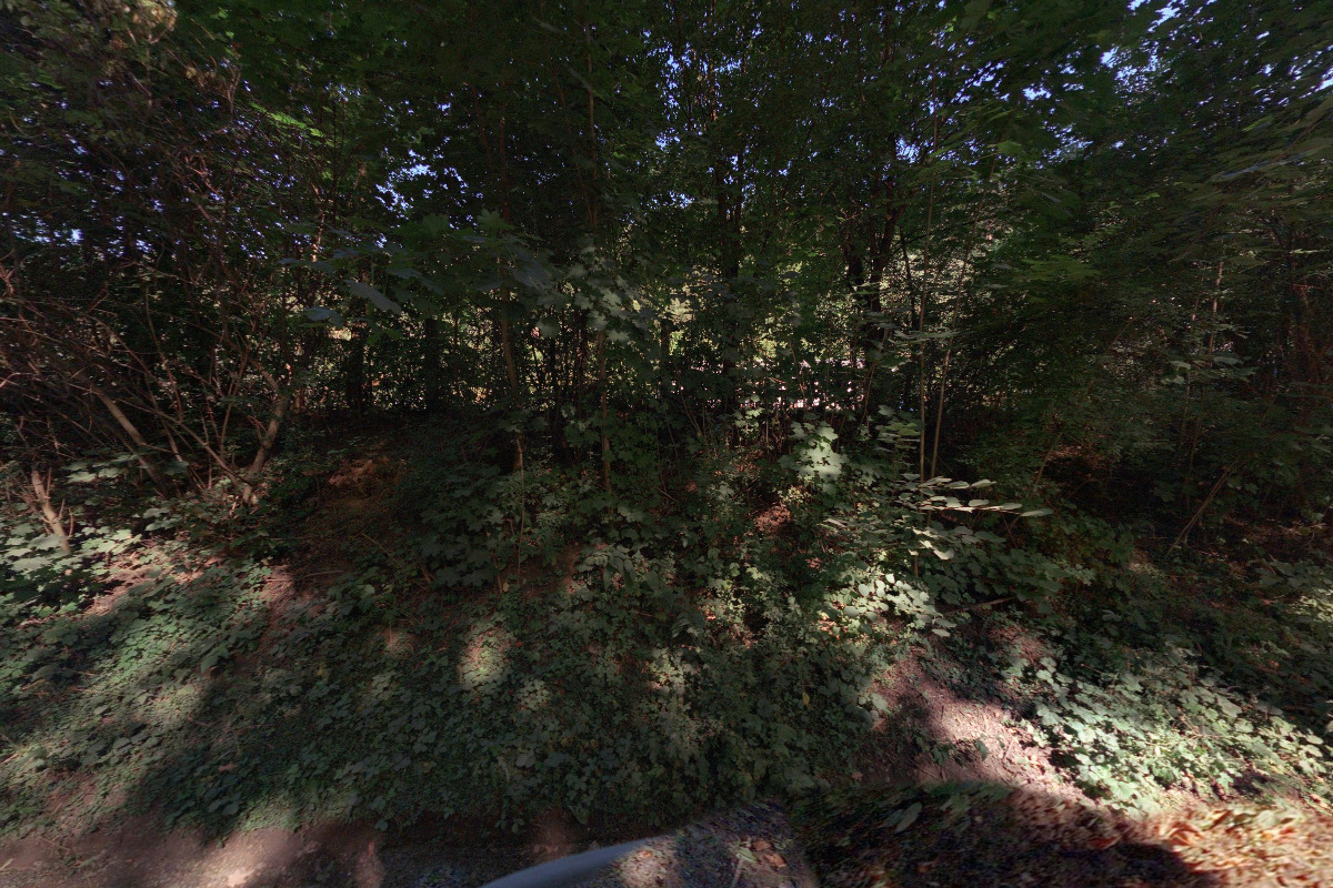 Koupaliště Březová nad Svitavou foto 4