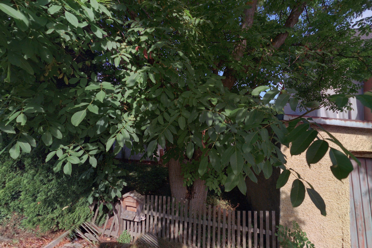 Roline Holding Inc., a.s.