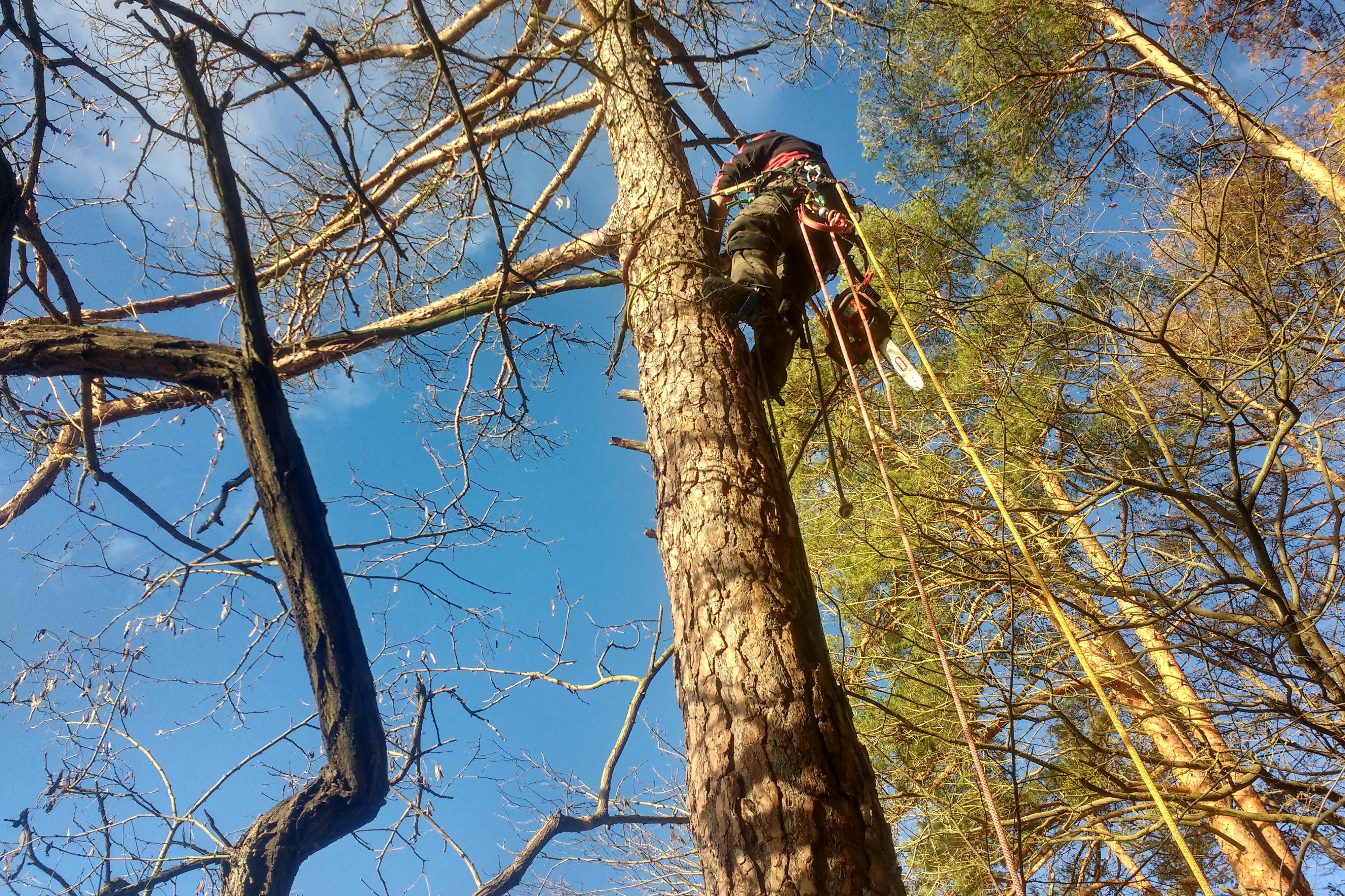 Výškové práce Petr Panský