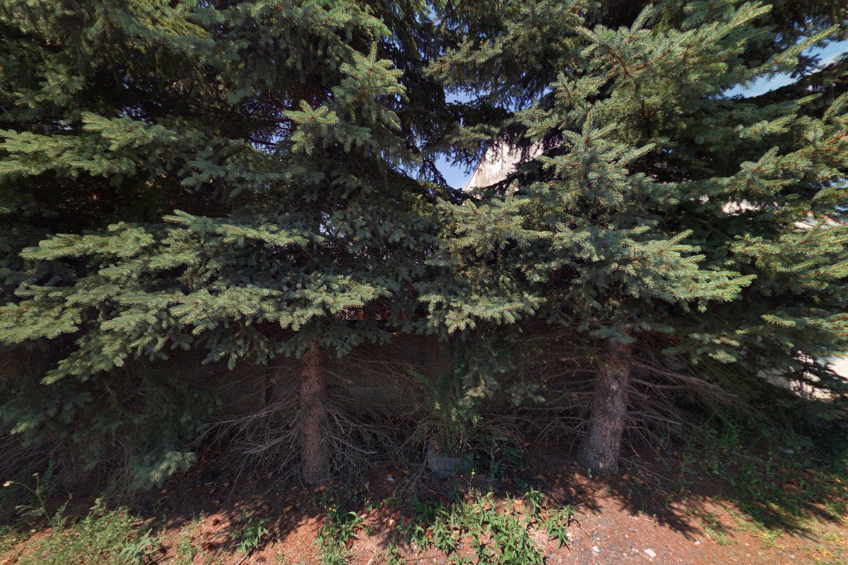 Obaly Mírová, s.r.o. foto 1