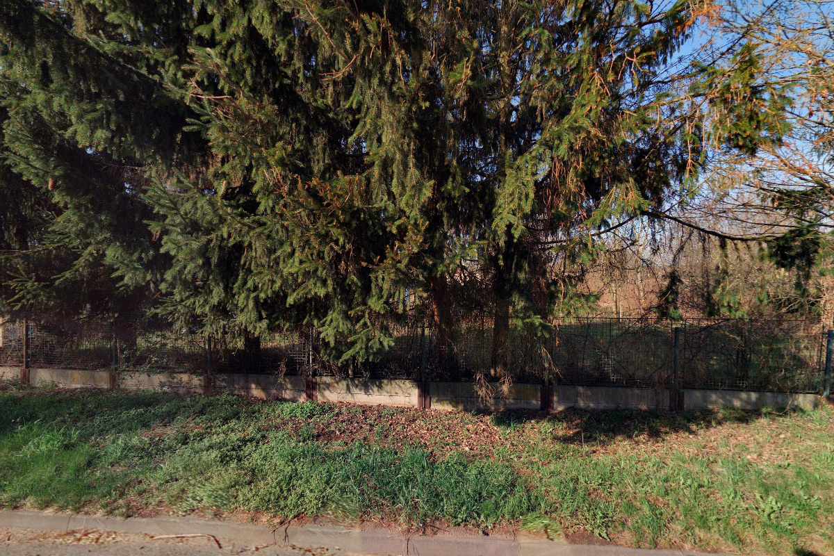 Zahradnikrbyveris.cz foto 3