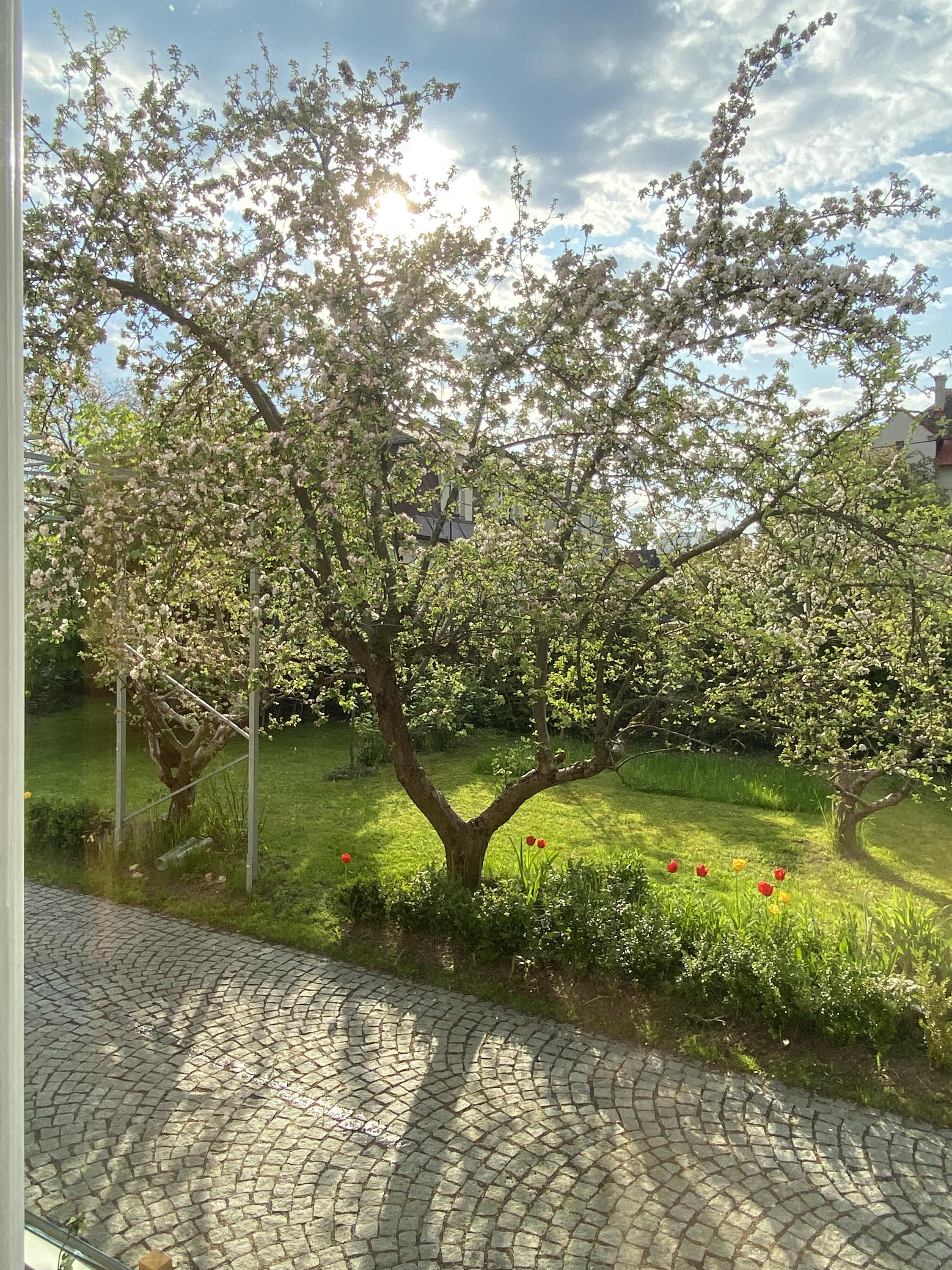 Apartmán Louvre foto 4