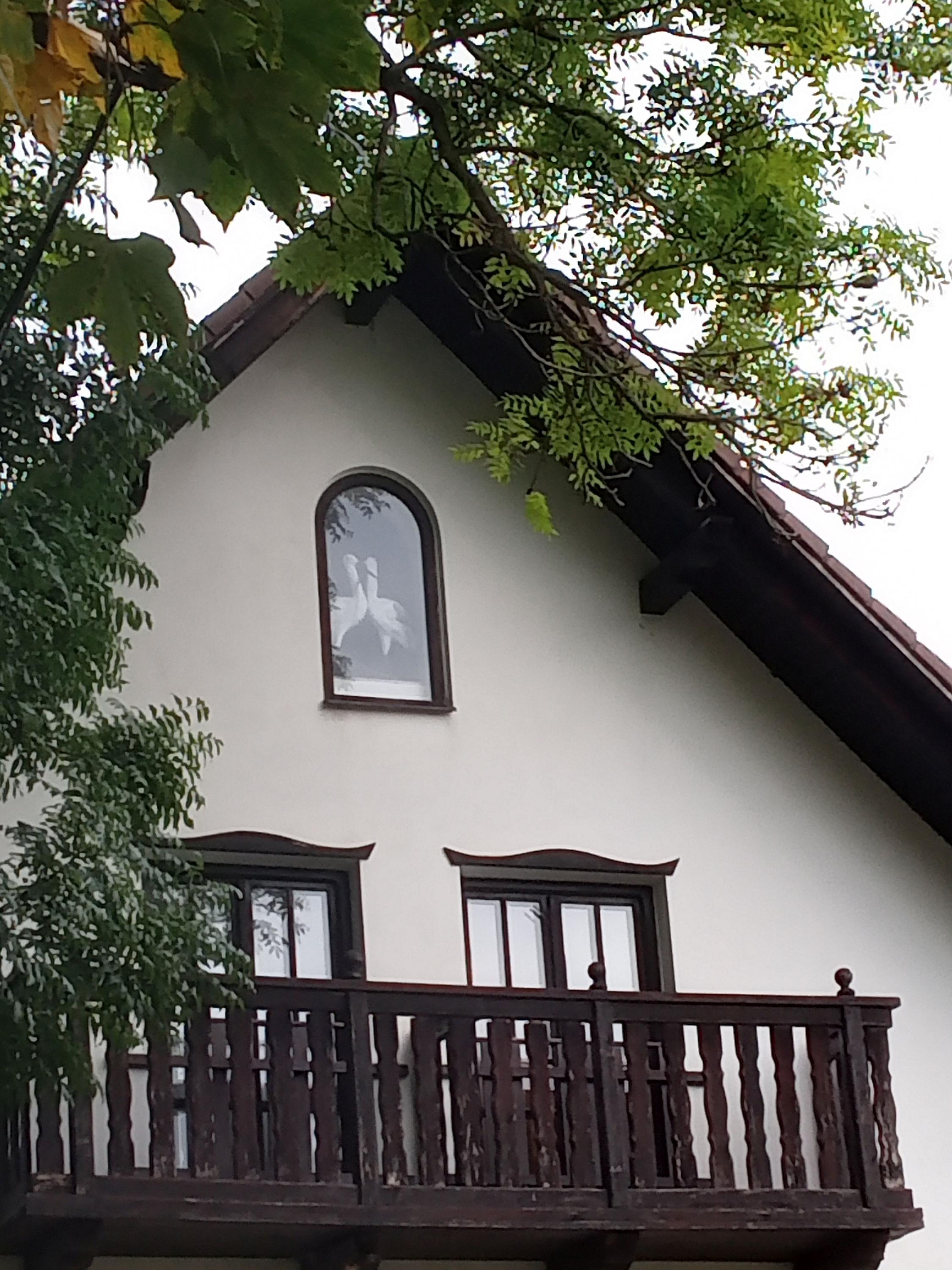 Pension U Dvou čápů foto 5