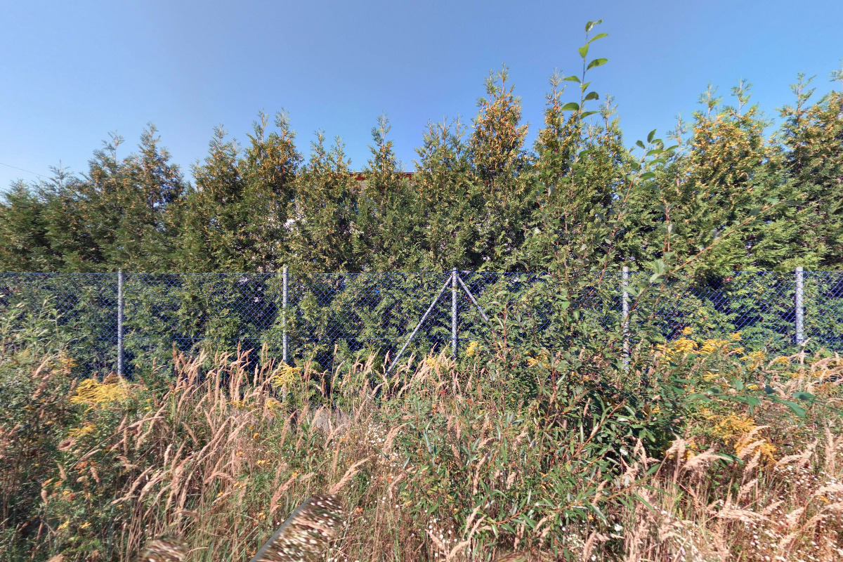 Nadační fond RBB Invest