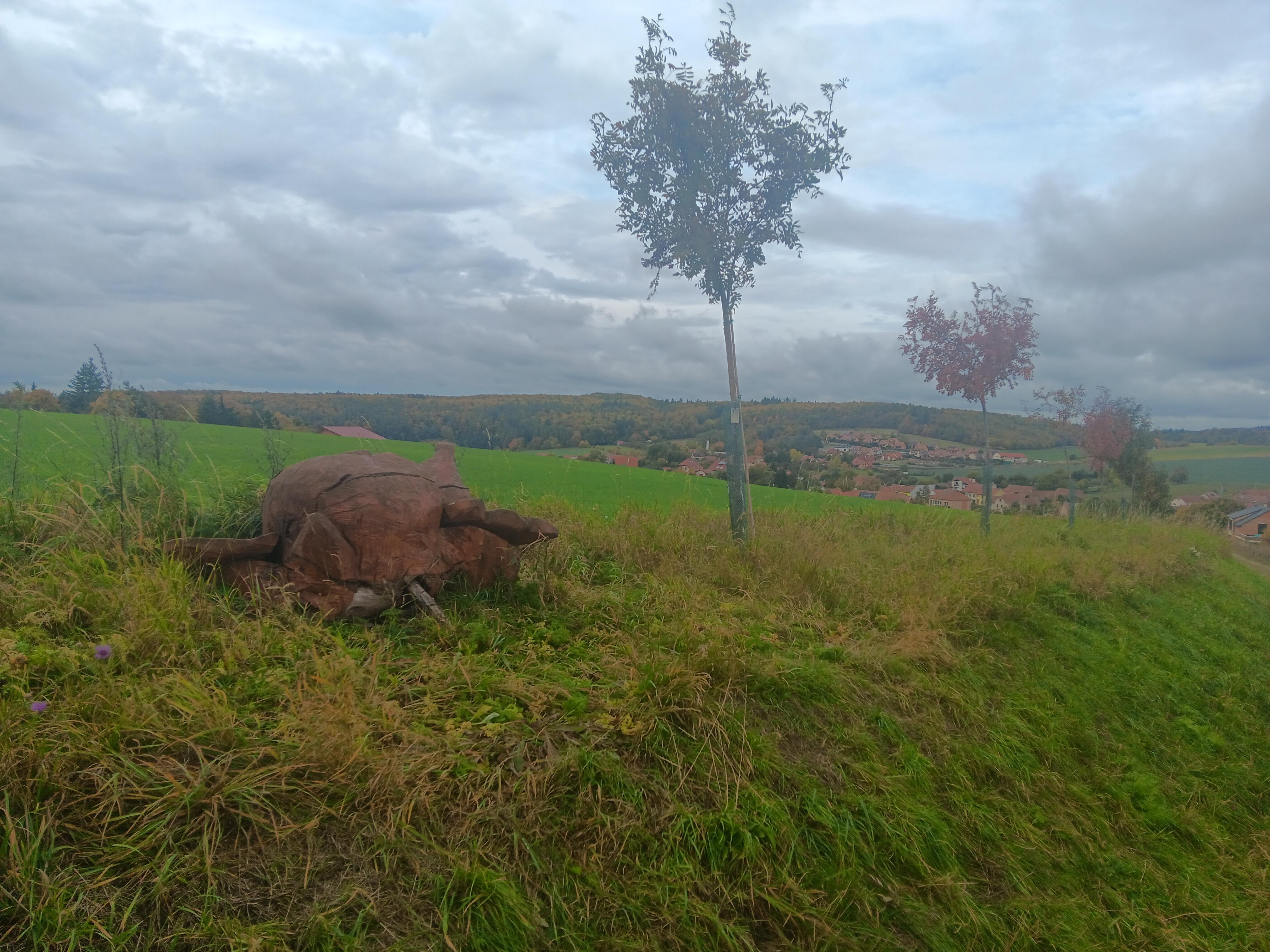 Farma NOE foto 4
