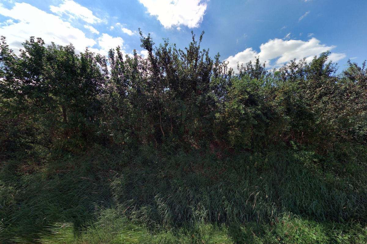 Václav Pašava - Pokladačství, obkladačství