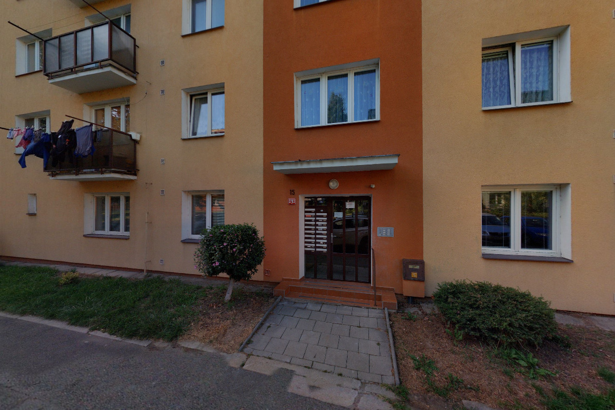 Základní článek Hnutí Brontosaurus Delfín