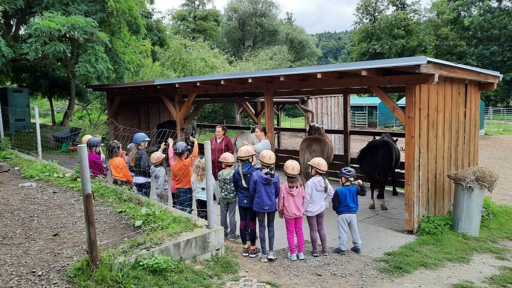 Farma Jitřenka, z.s. foto 5