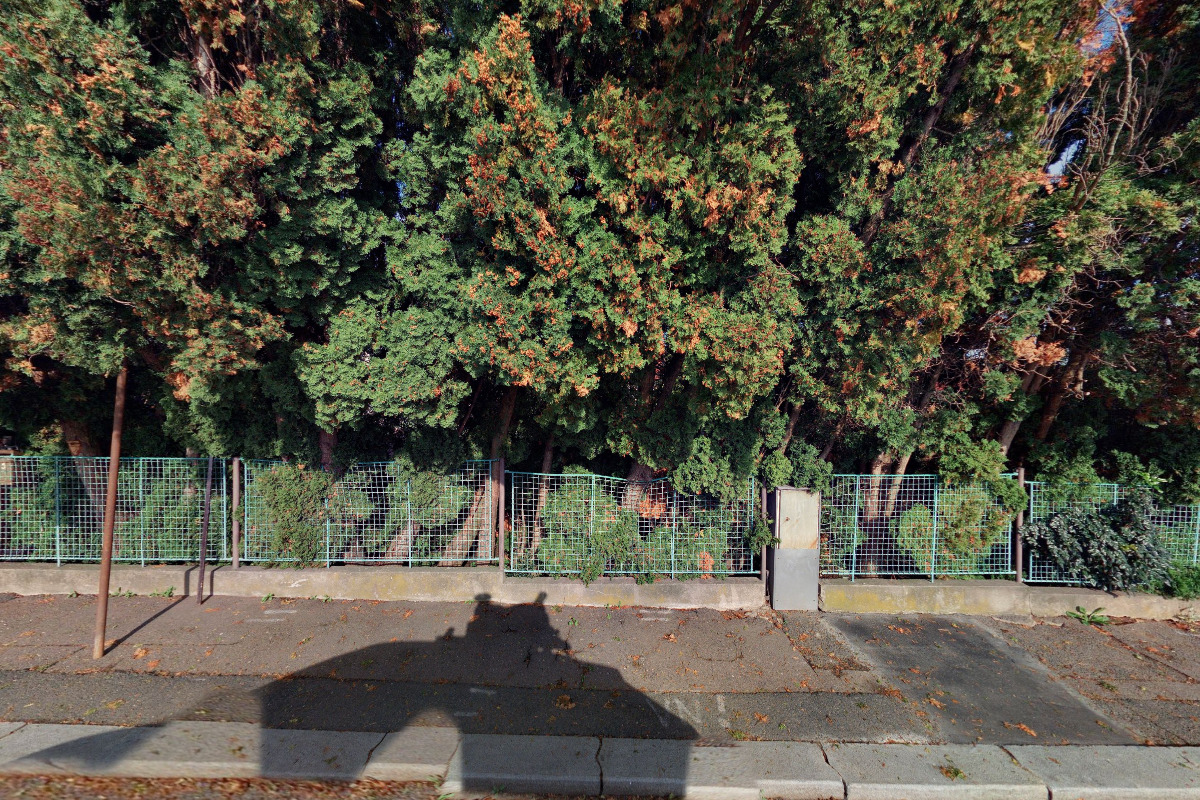 Radoslav Licek - Živočišná výroba foto 2