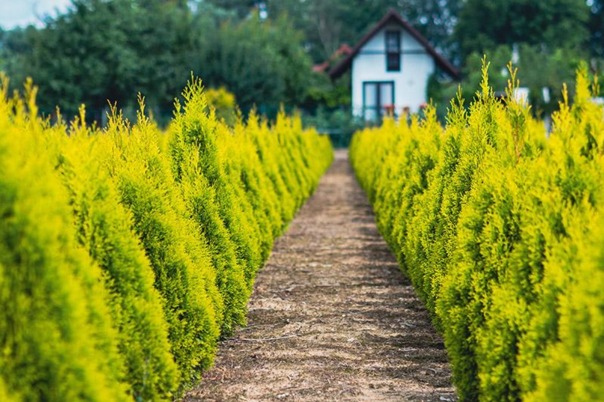 Zahradnictví Munzar s.r.o.