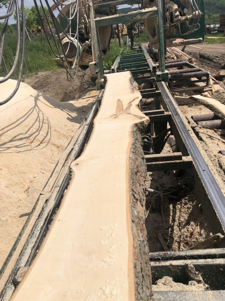 Pila Velký Bor foto 3