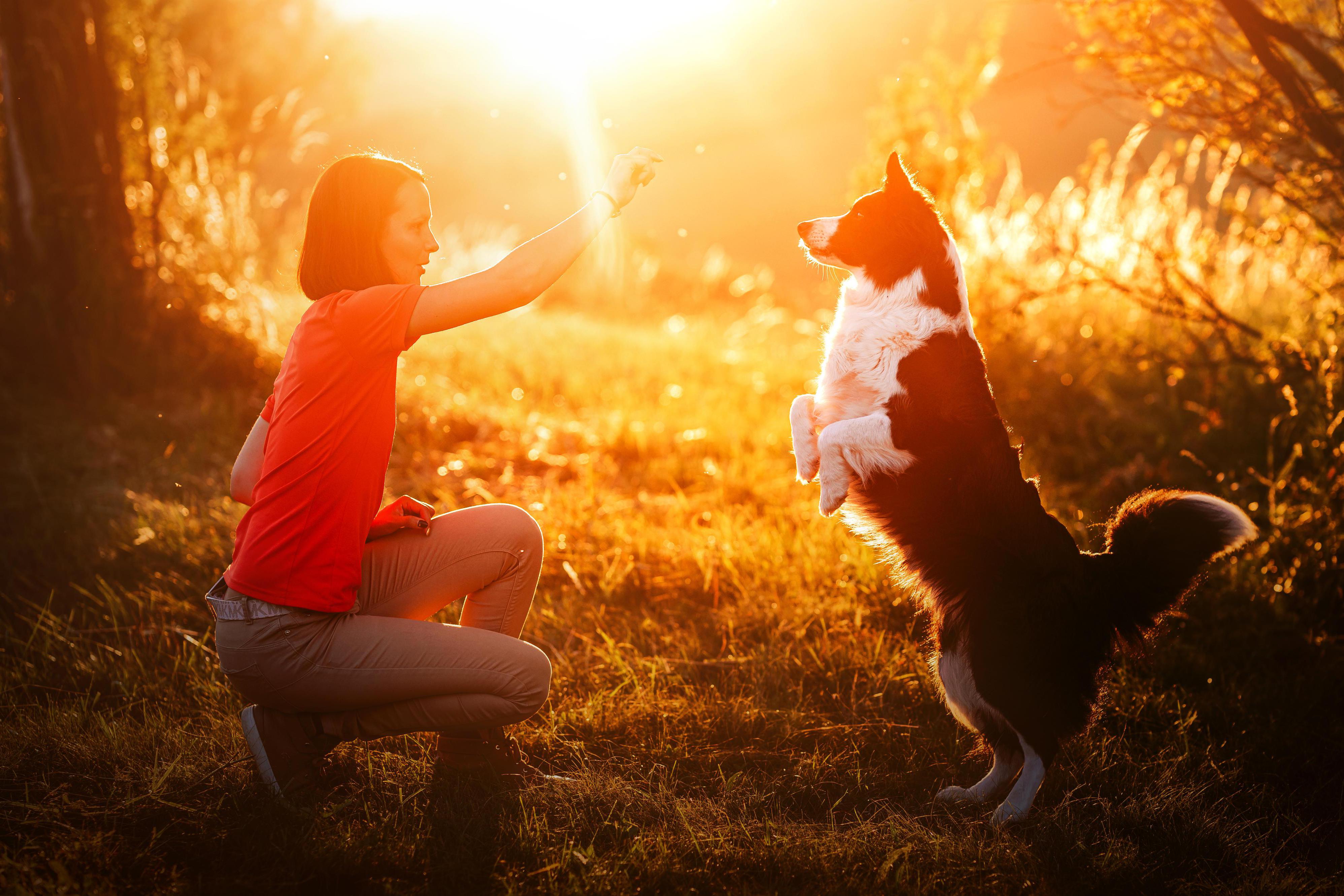 Fotografování psů v exteriéru