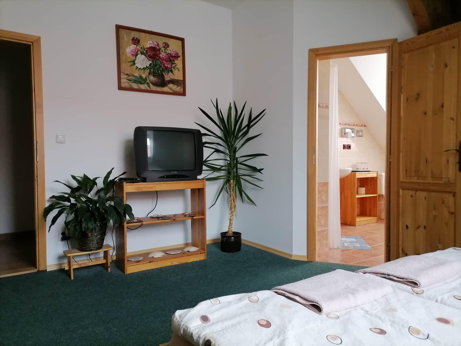 Zámecká restaurace a penzion Týn nad Vltavou foto 6