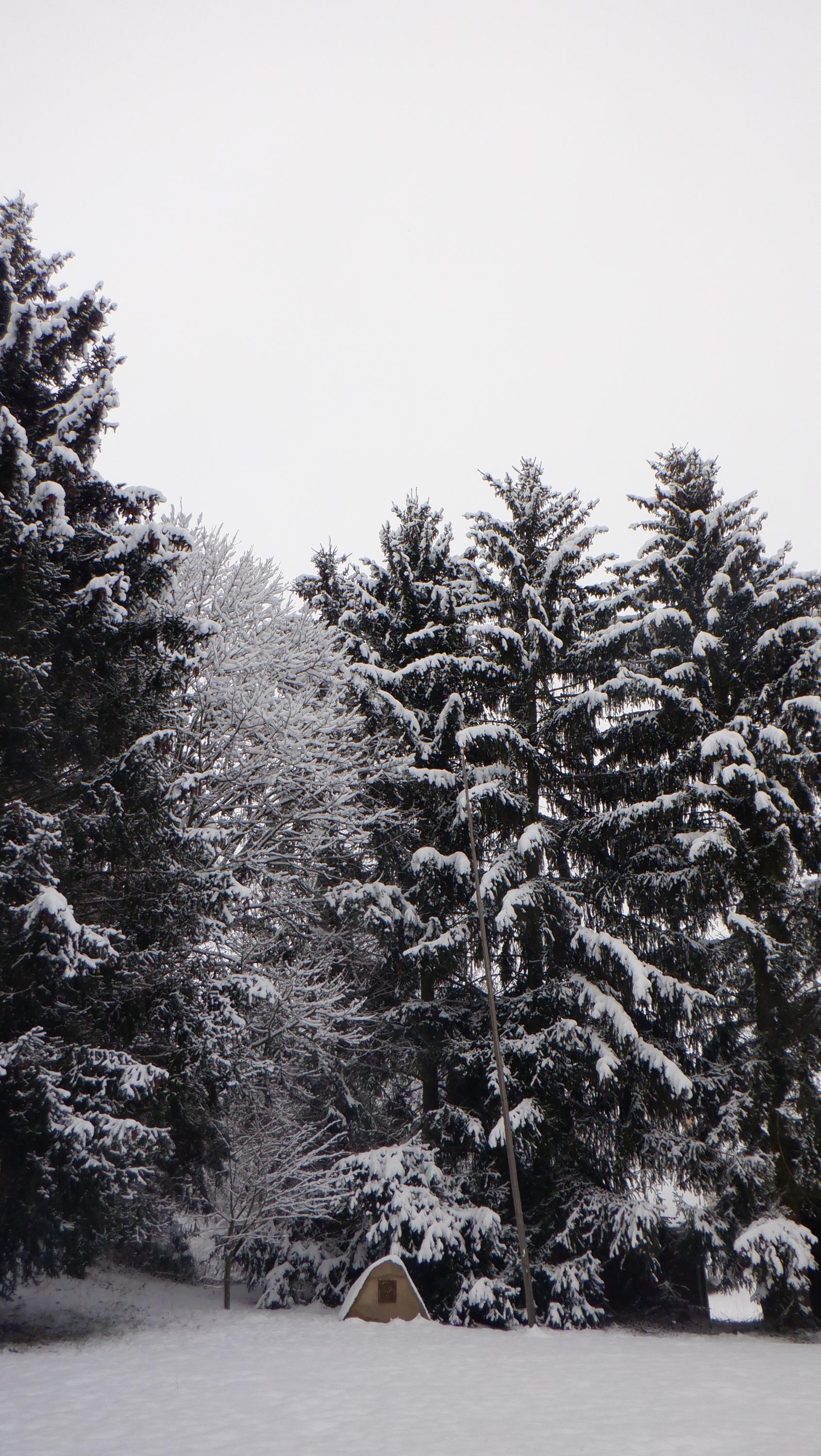 Junák - český skaut, středisko Goliath Přibyslav, z. s. foto 2