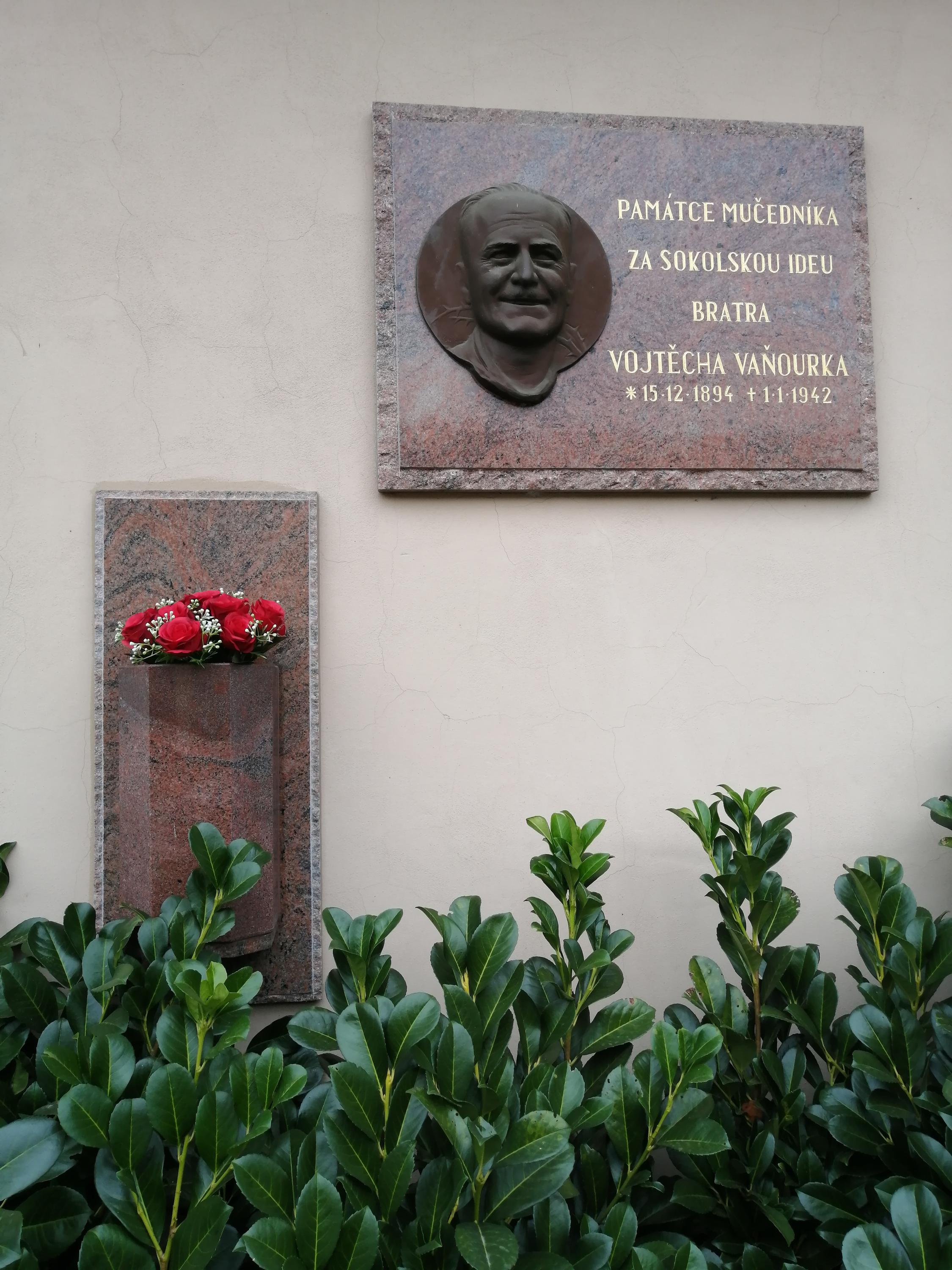 Tělocvičná jednota Sokol Náměšť na Hané foto 6