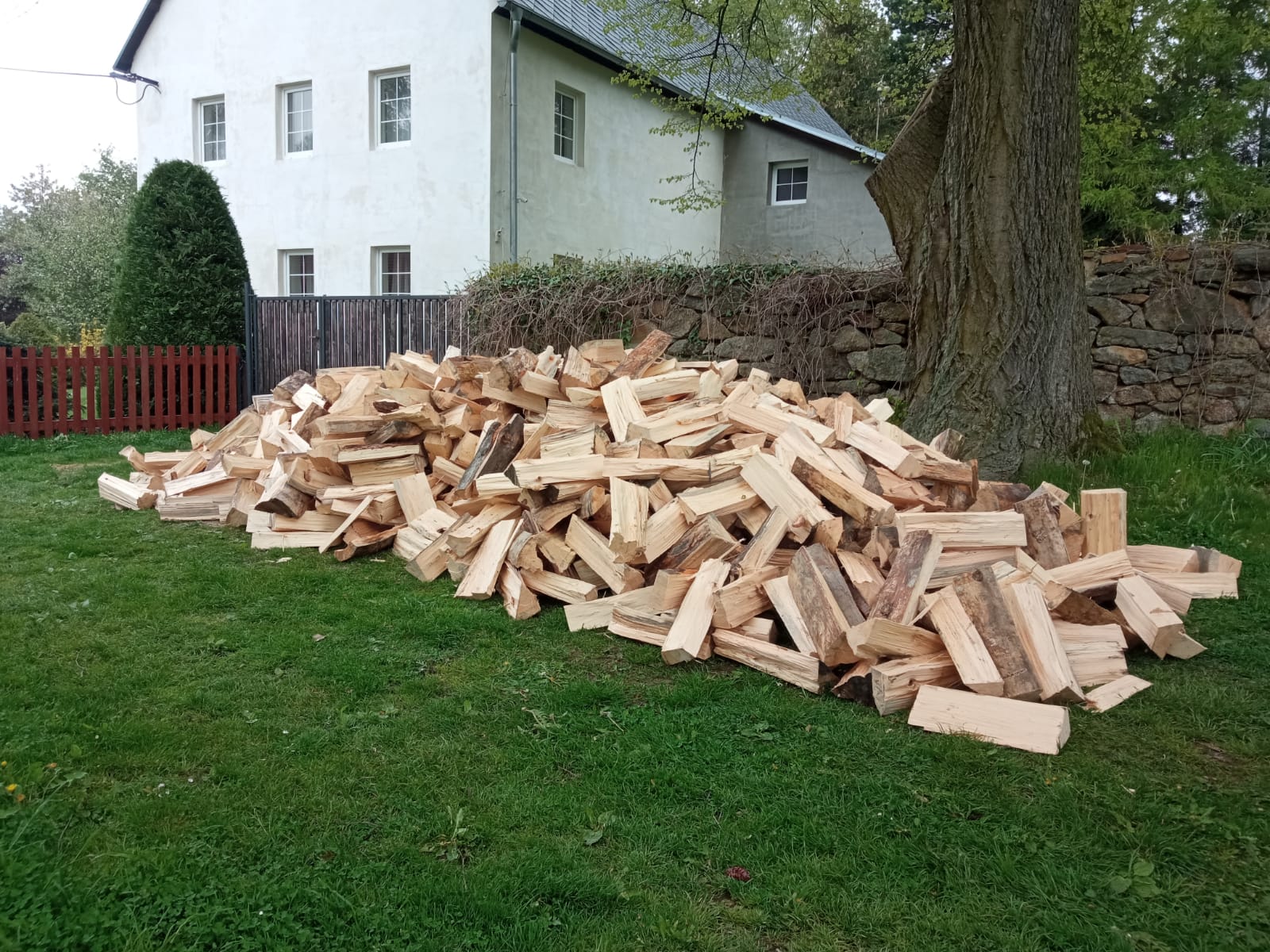 Dřevo Chotyně s.r.o. foto 5