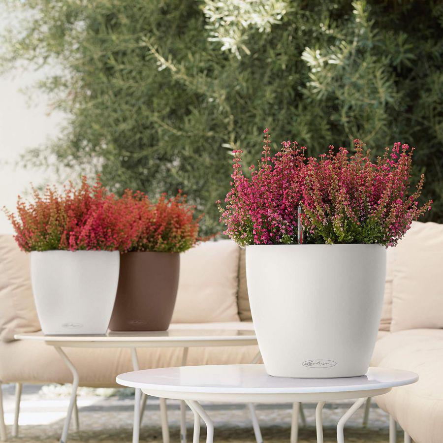 LECHUZA - samozavlažovací květináče foto 6