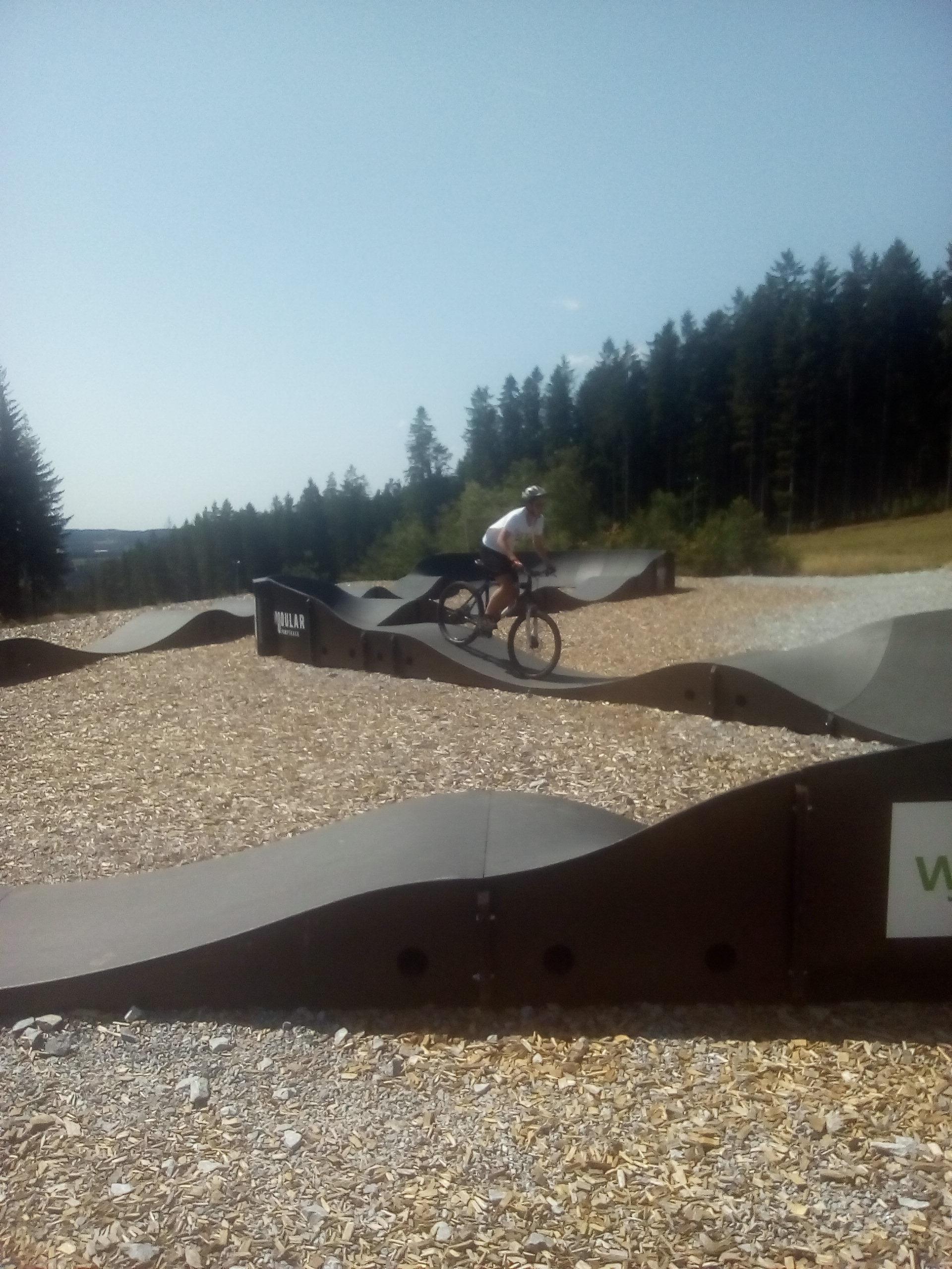 Království lesa Lipno foto 3